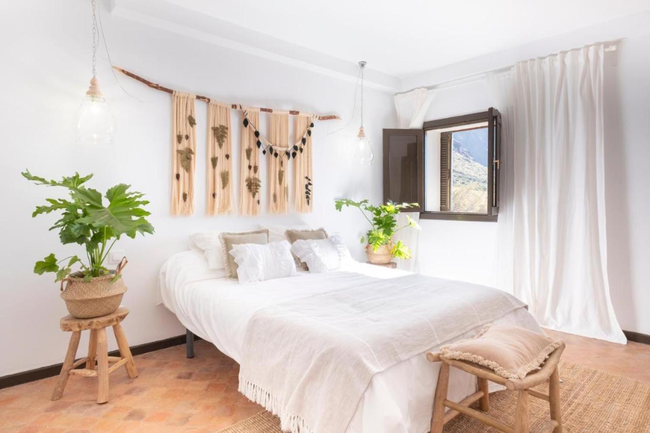 Karat Villa Oasis De Teno Buenavista Del Norte Eksteriør billede